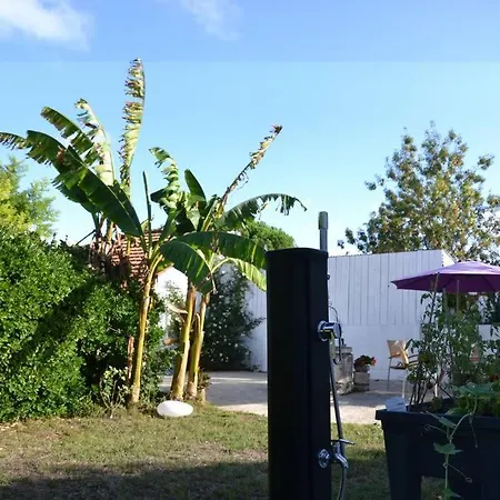 Verdure, Calme Et Lumiere Au Chateau D'oleron Tatil Evi Le Château-dʼOléron