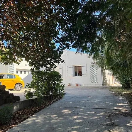 Verdure, Calme Et Lumiere Au Chateau D'oleron Le Château-dʼOléron